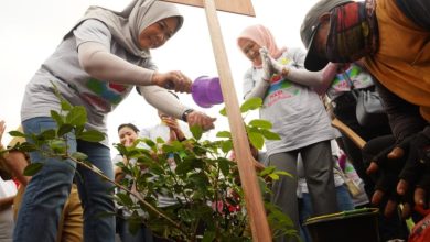 Peringati Hari Sejuta Pohon, Perwosi Sumsel Gelar Penanaman Pohon