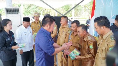 Rasio Listrik Hingga Pelosok Sumsel Capai 99,01 Persen, Warga Desa: Terima Kasih Pak Gubernur Kini Terang Benderang