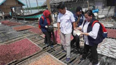 BPOM Palembang Ungkap Terasi Mengandung Rhodamin B