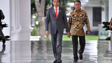 Jokowi Sebut Menpora Amali Sudah Mundur Secara Informal