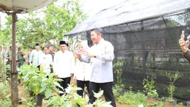 Kurangi Kemiskinan dari Perkarangan