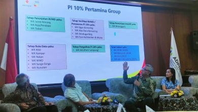 PT SEG Desak SKK Migas Permudah Kebijakan Partisipasi Interest sebesar 10% untuk Pemda