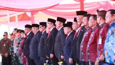 Tetap Komitmen dan Berjasa Dalam  Majukan Sektor Pertanian, Gubernur Sumsel Dianugerahi Tanda Kehormatan Satyalancana Wira Karya dari Presiden RI