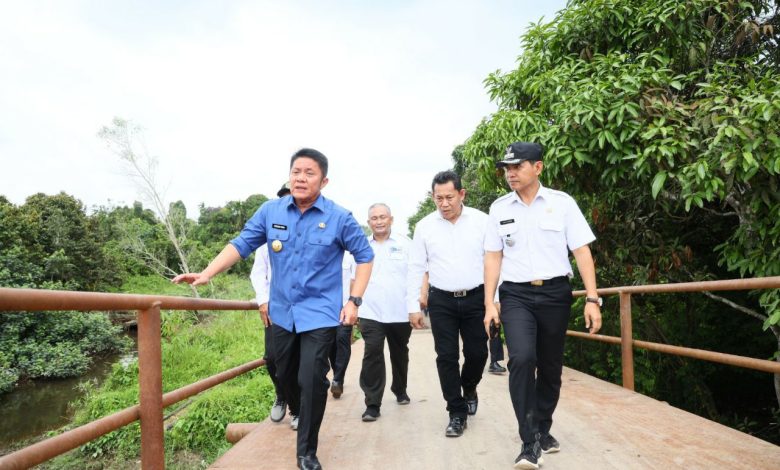 Berkat Gubernur Herman Deru, Mimpi Warga Desa Saluran Banyuasin Selama 30 Tahun untuk Nikmati Listrik Segera Menjadi Kenyataan 