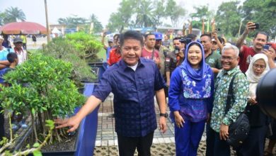 Gubernur Sumsel Buka Langsung Pameran Bonsai Di Martapura