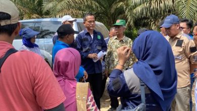 Tuntaskan Permasalahan, Tim Gabungan Survei Langsung Lokasi Lahan Plasma di Desa Gajah Mati Muba