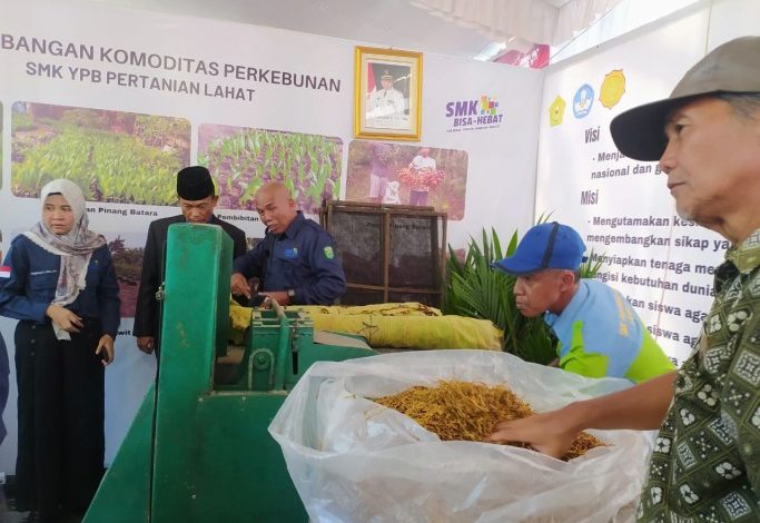 Produksi Rokok dari Talas Beneng, SMK Pertanian Lahat Ini Pasarkan Sampai ke Jawa Tengah