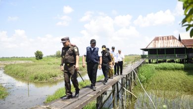 Tambah Luas Tanam Sawah, Mentan RI Yakin Semakin Kuatkan Sumsel Sebagai Lumbung Pangan Negara