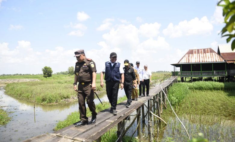 Tambah Luas Tanam Sawah, Mentan RI Yakin Semakin Kuatkan Sumsel Sebagai Lumbung Pangan Negara