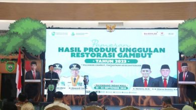 Peduli Gambut, Gubernur Herman Deru Komitmen Tidak Keluarkan Izin Alihfungsi Sejak Awal Menjabat